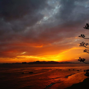 强开乳罩摸双乳吃奶网站
